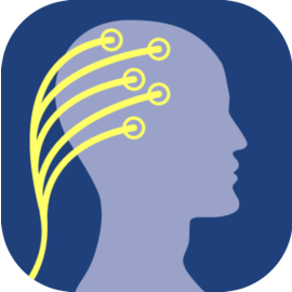 Brain Computer Interface